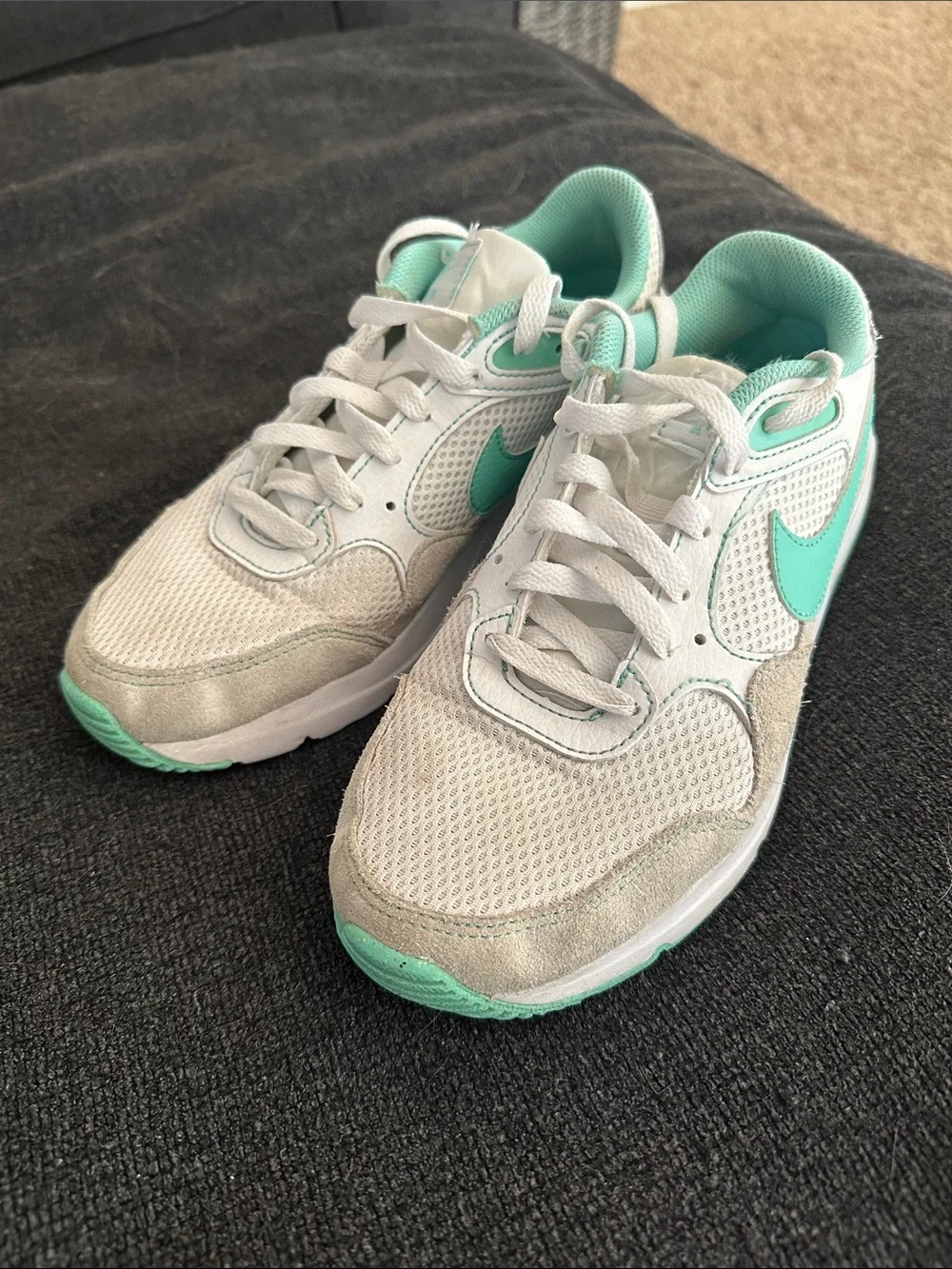 Nike women’s shoe
